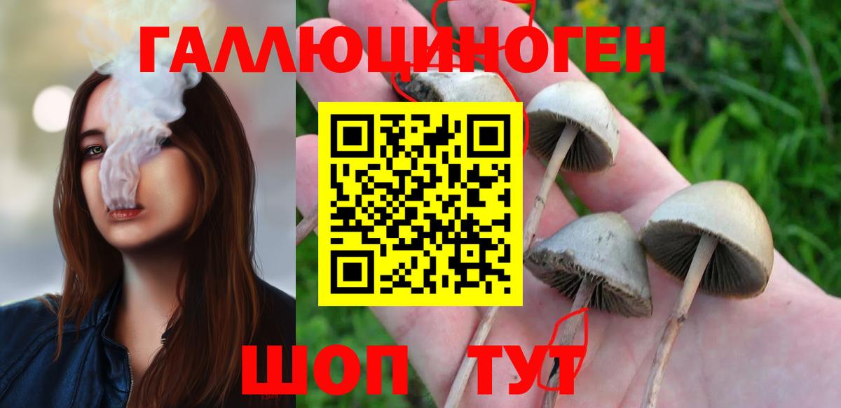 Псилоцибиновые грибы Magic Shrooms  Вход с VPN  где можно купить наркотик  Янаул 
